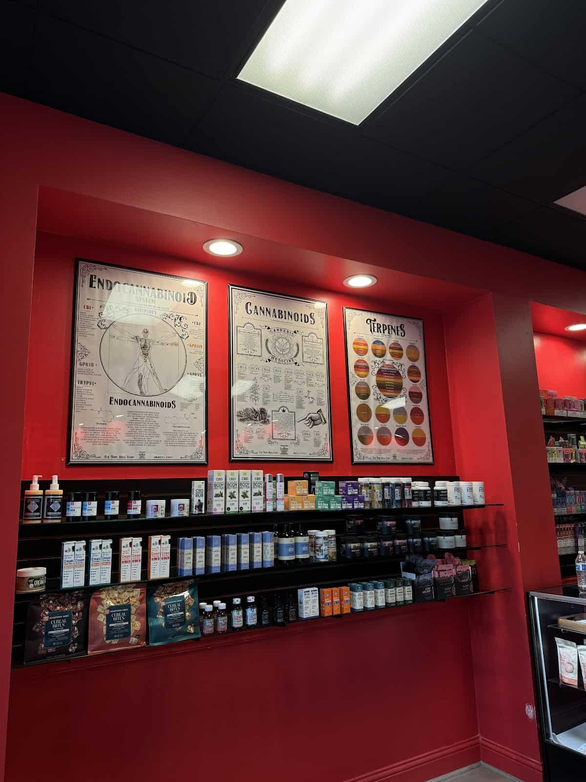 Gallery Image 6