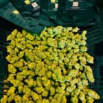 Store – gallery image 3