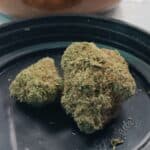 Store – gallery image 5