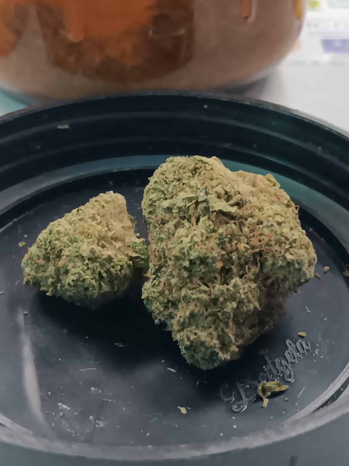 Store – gallery image 5