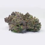 Store – gallery image 7