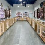 Store – gallery image 2