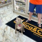 Store – gallery image 7