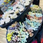 Store – gallery image 5