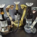 Bahama mama Bay Area, Smoke Shope, Webster – gallery image 3