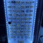 Store – gallery image 4