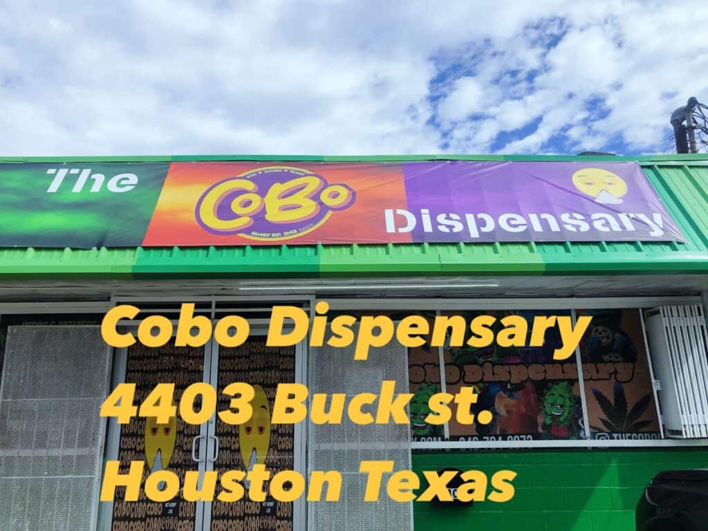 Store – main photo