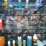 Store – gallery image 5