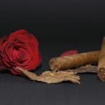 Store – gallery image 2