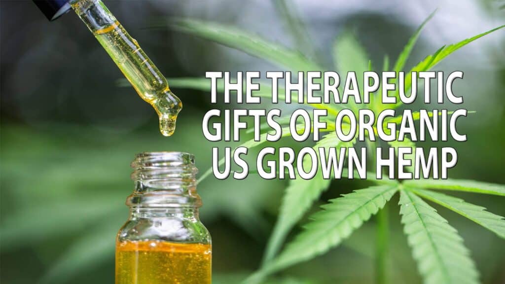 Store – main photo