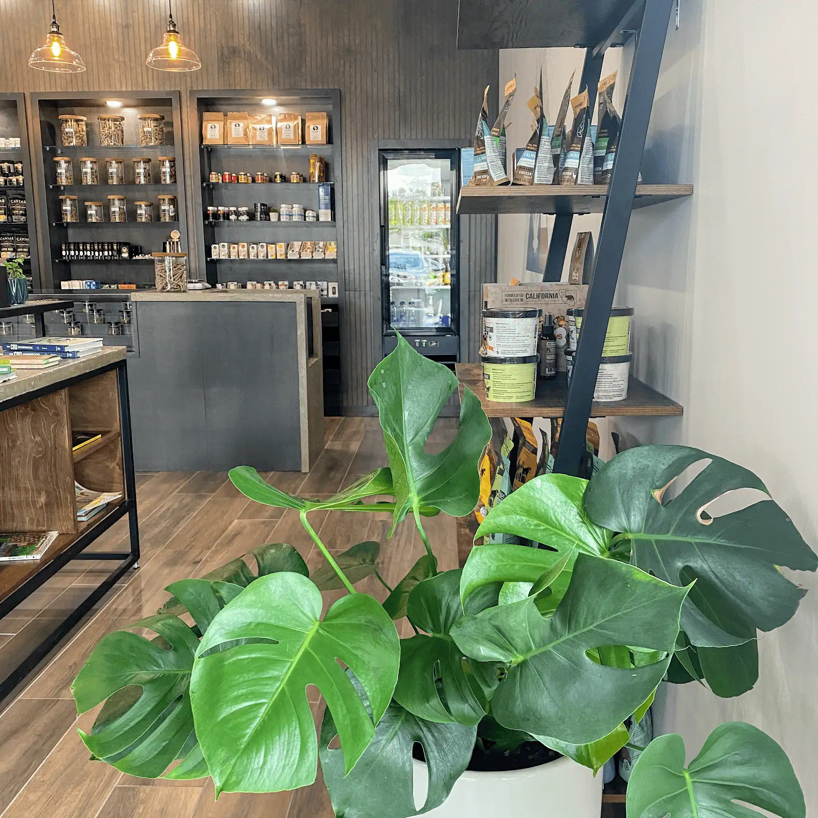 Store – gallery image 3