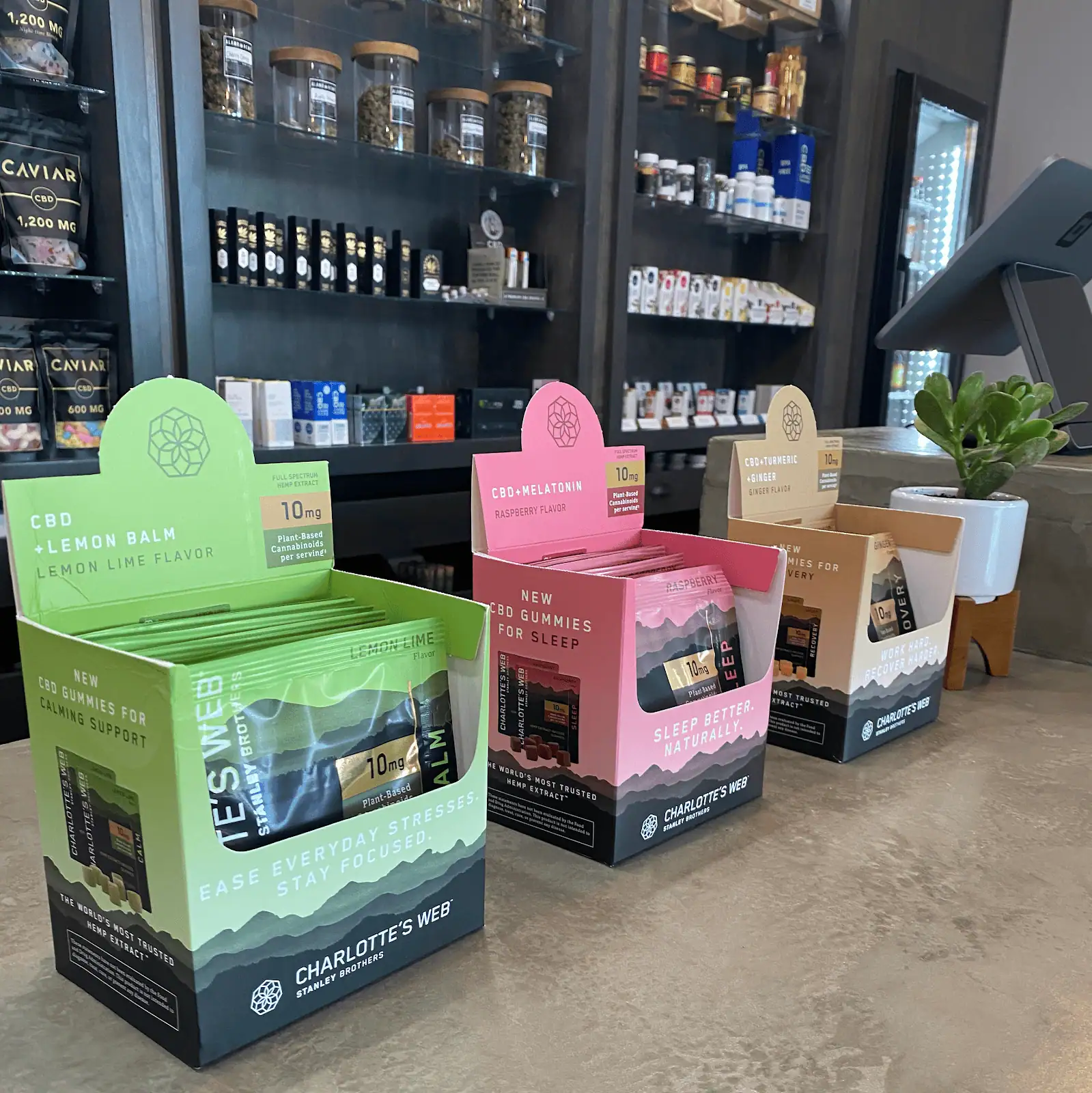 Store – gallery image 4