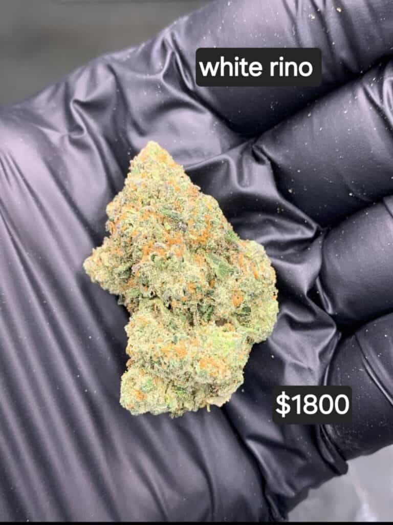 Store – main photo