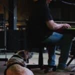 Store – gallery image 6