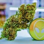 Store – gallery image 4