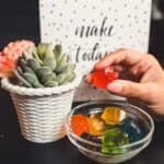 Store – gallery image 6