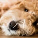 Store – gallery image 7