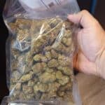 Store – gallery image 3