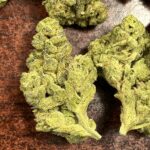 Band of Brothers Botanicals – gallery image 2