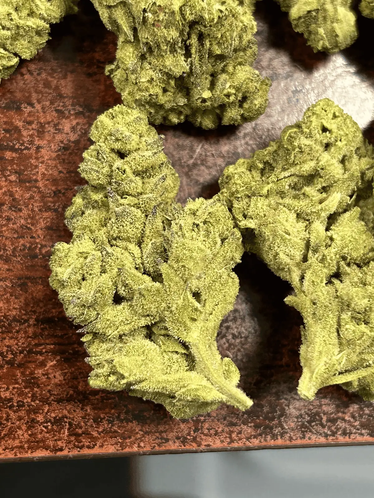 Store – gallery image 2