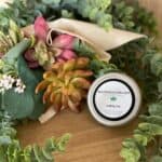 Beautanicals Wellness – gallery image 2