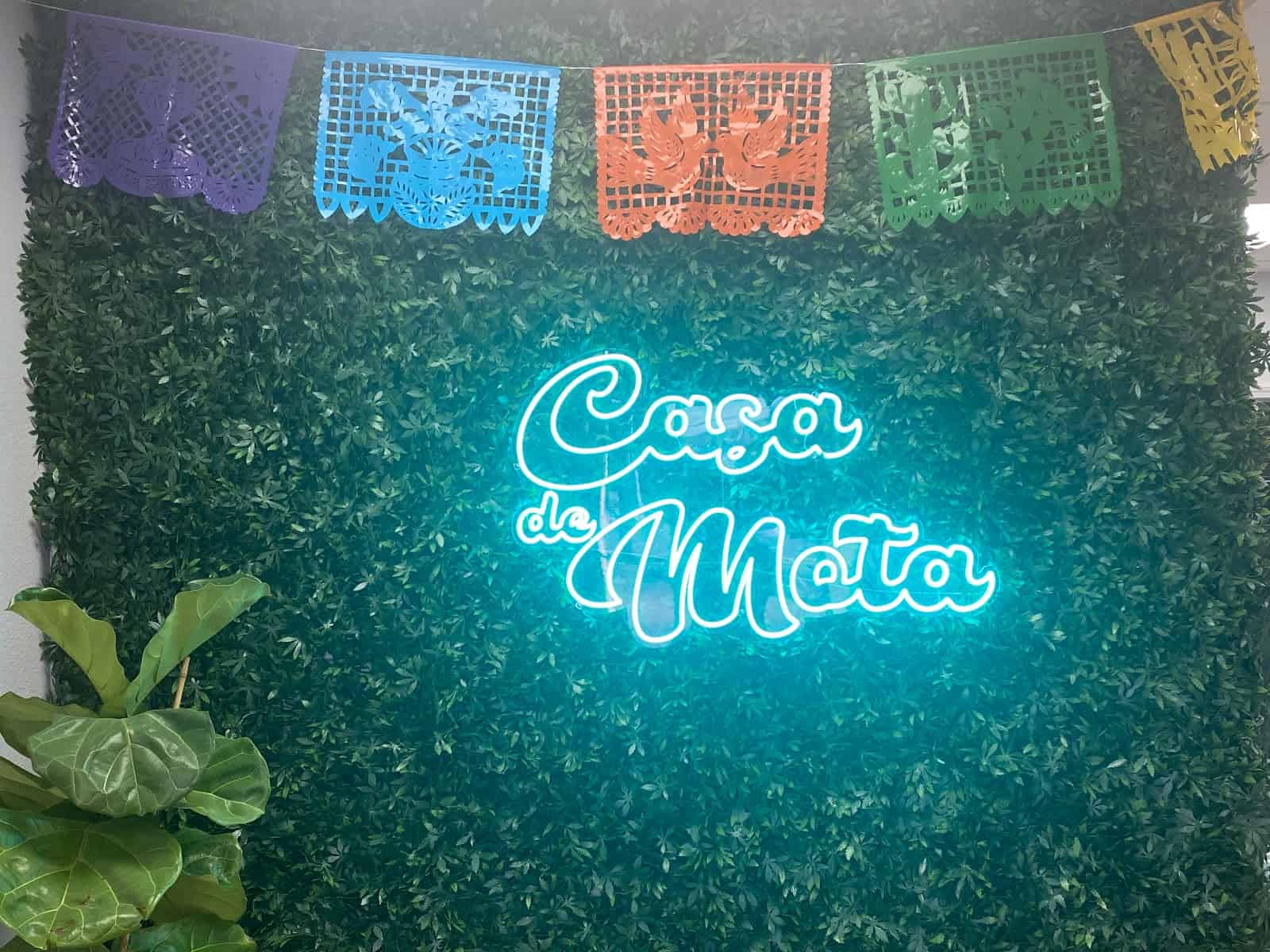 Store – gallery image 9