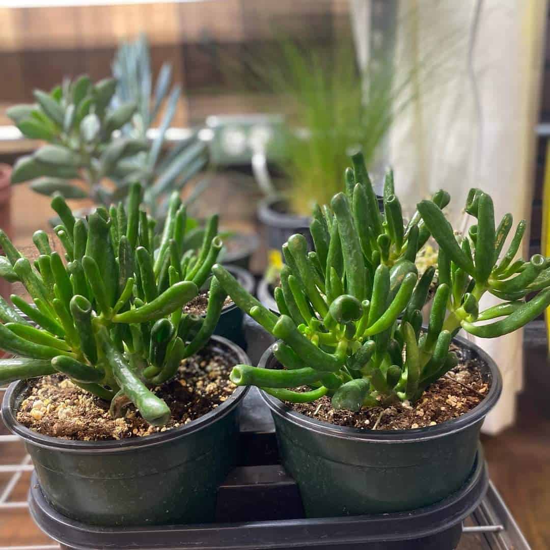 Store – gallery image 3