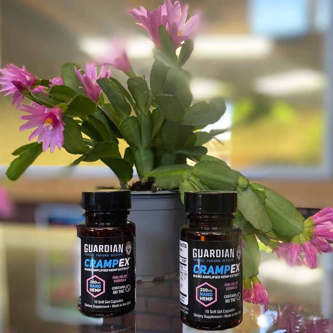 Store – gallery image 4