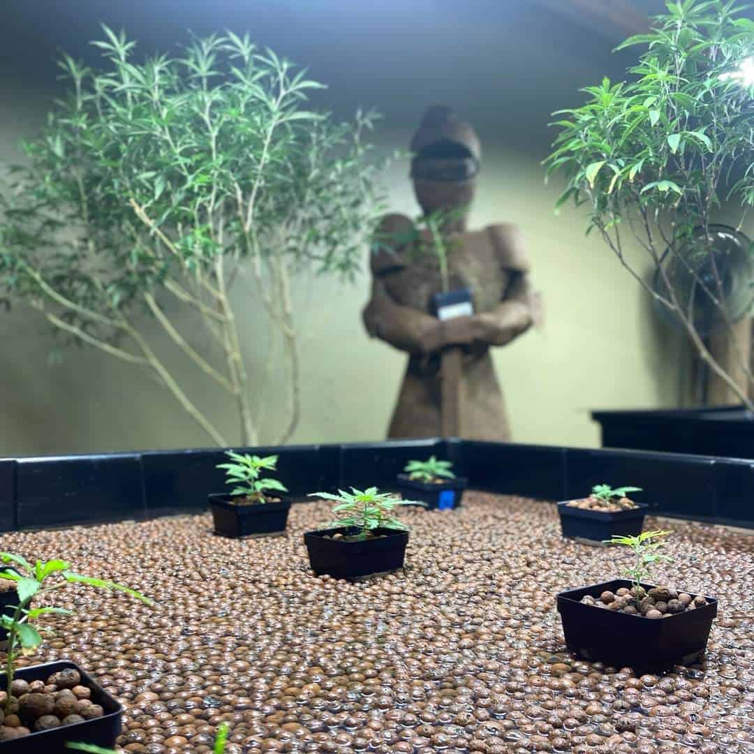 Store – gallery image 6