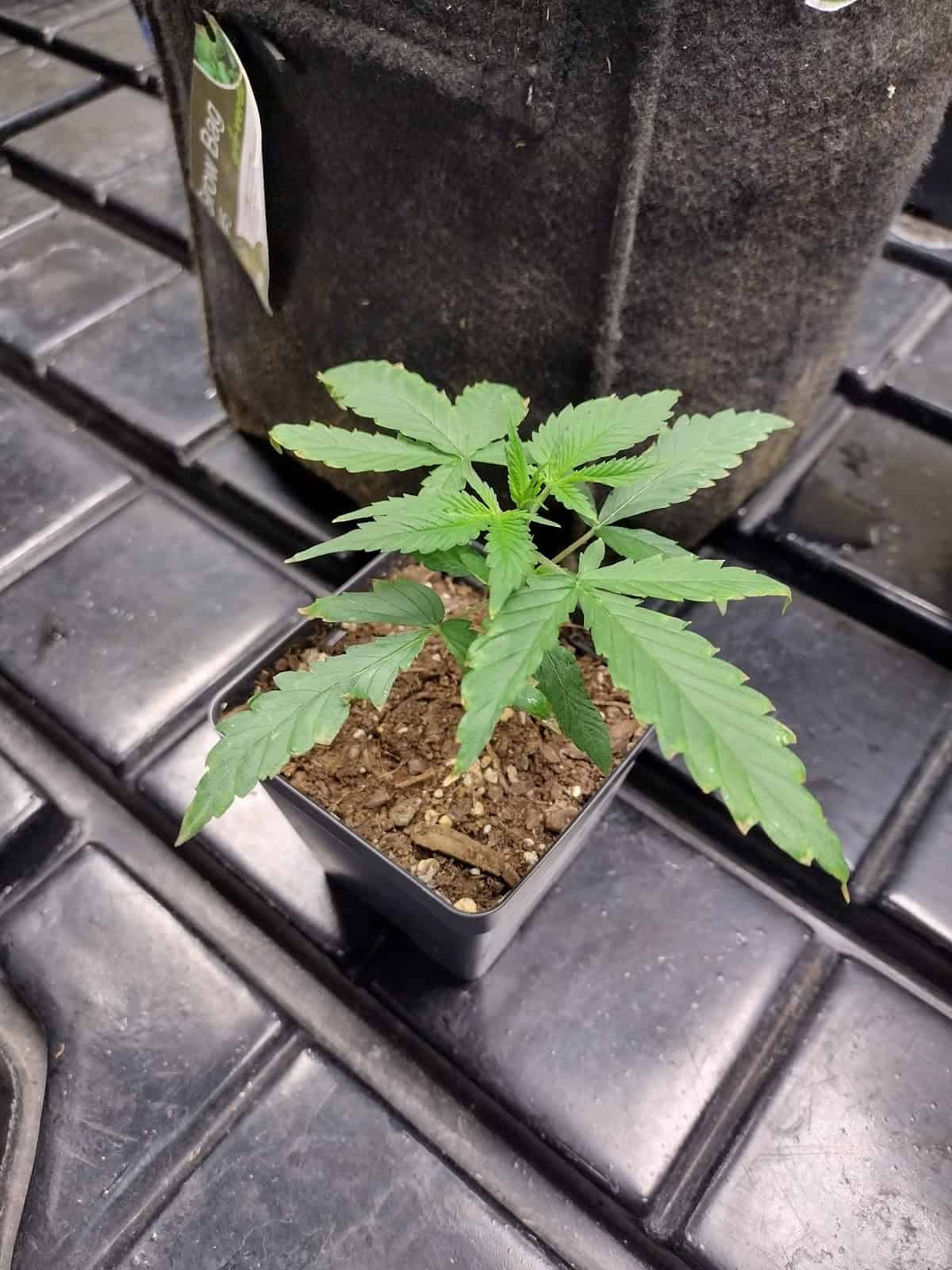 Store – gallery image 7