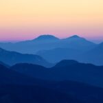 Identifying and Addressing Cannabis Nitrogen Deficiency