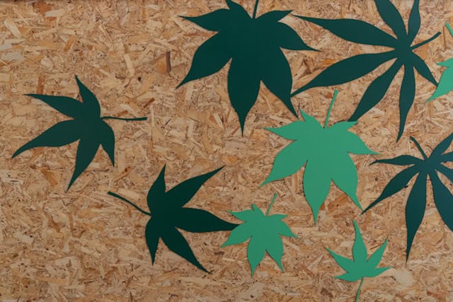 Mastering Cannabis Propagation Methods: Clones, Seeds, and Tissue Culture Techniques