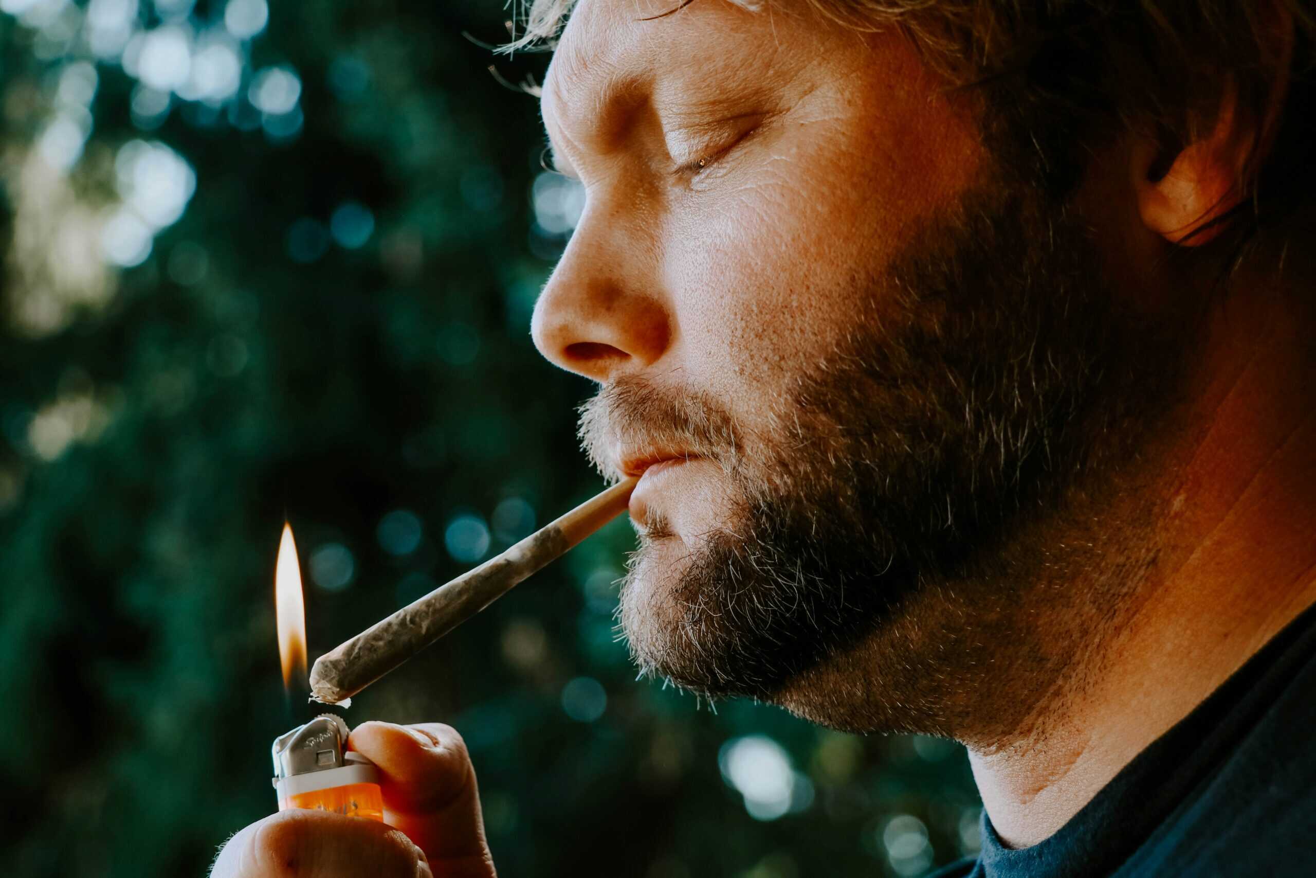 What Is a Pinner Joint? Everything About This Small, Thin Cannabis Joint