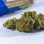 Understanding Entourage Compounds: Enhancing the Cannabis Experience