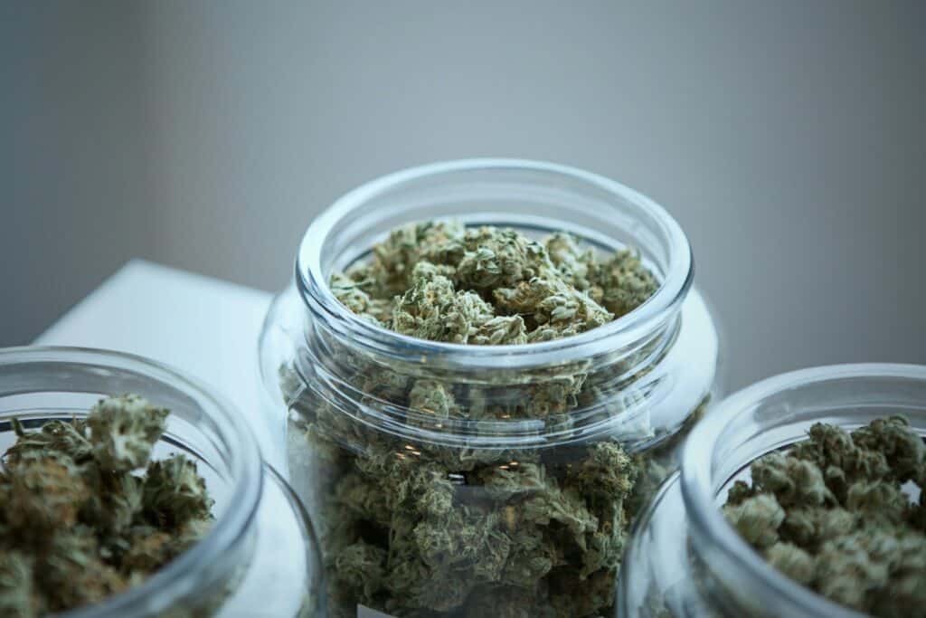 The Ultimate Guide to Using a Cannabis Curing Jar for Quality Storage