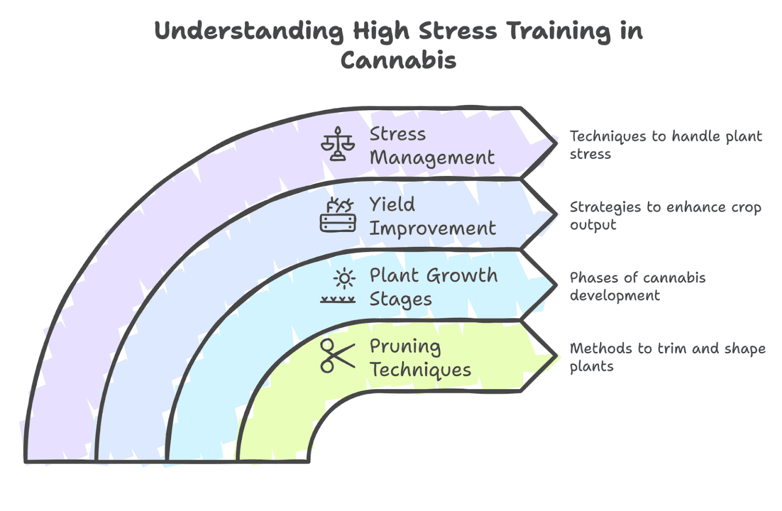 Cannabis High Stress Training (HST): A Guide to Boosting Your Yield ...