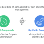 Cannabis High Stress Training (HST): A Guide to Boosting Your Yield