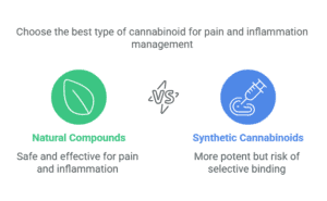 Cannabis High Stress Training (HST): A Guide to Boosting Your Yield