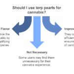 Cannabis High Stress Training (HST): A Guide to Boosting Your Yield