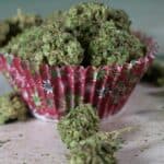 The Role of Cannabis Ocimene in Enhancing Strain Profiles