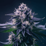 Cooking with Cannabis: Edible Recipes and Dosing Guide