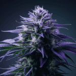The Complete Cannabis Strain Review: Effects, Flavors & Medical Benefits