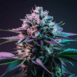 Pairing Cannabis with Food and Beverages