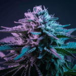 Cannabis Consumption Methods: Smoking, Vaping, and Beyond