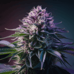 Cannabis Growing Tips: Indoor vs Outdoor Cultivation Guide