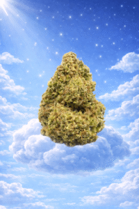 Gelonade Flower Green House Reserve Flower 14g (Sativa)