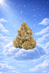Kandy Kane Candy Collection Flower (Indica)