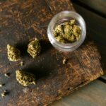 What Is Kush? Unpacking the Popular Cannabis Strain