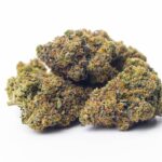 Store – gallery image 2