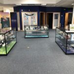 Store – gallery image 2